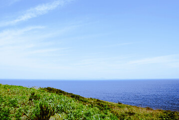 green grass and blue sky with clouds