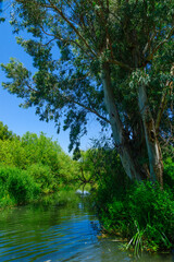 Daliyot stream, in the Majrase - Betiha Nature Reserve