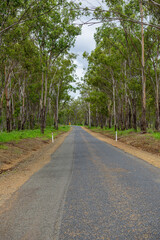 Obraz premium Asphalt country road in Queensland (Tableland Road)
