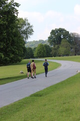 Obraz premium 3 men walking in the country, taken in Chatsworth, Derbyshire, England 