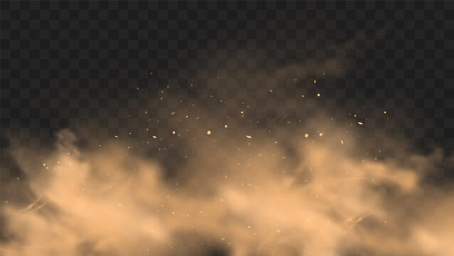 Dust sand cloud with stones and flying dusty particles isolated on transparent background. Desert sandstorm. Realistic vector illustration