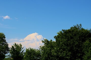 新緑　雲　青空　六月　風景　茨城