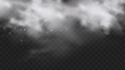 White snow explosion with particles and snowflakes splash isolated on transparent dark background. White flour powder explosion, Holi paint powder. Smog or fog effect. Realistic vector illustration - obrazy, fototapety, plakaty
