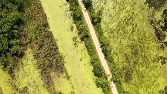 Aerial view of open water marsh and recreational trail through it. Midwestern landscape, wilderness from above. Daytime, summer