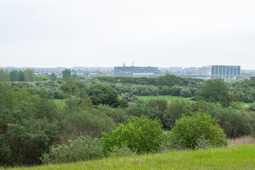 landscape of amager f&aelig;lled green area 