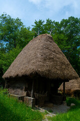 Plakat traditional brick and clay house with thatched and wooden roof