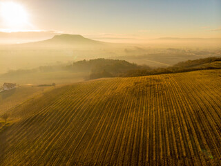 Aerial view of a vineyard during sunset in Hungary, Balaton Highlands