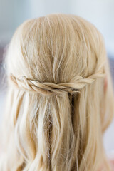 Horizontal braid