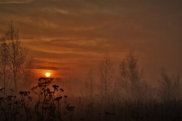 Fototapeta na wymiar sunrise 6