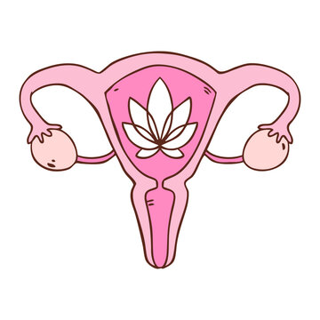 Vector illustration in cartoon style with beauty female reproductive system with flowers. Hand drawn uterus,  female reproductive sex organ