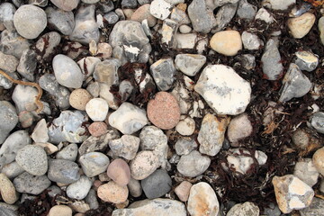 colorful pebbles on the beach