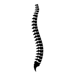 Spinal column vector icon - obrazy, fototapety, plakaty