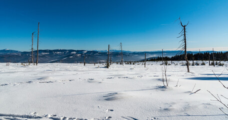 Amazaing view from Wierch Wiselka near Barania Gora hill in winter Beskid Slaski mountains in Poland