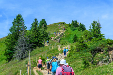 Wanderer-Ansturm auf den Hochgrat-Gipfel im Westallgäu