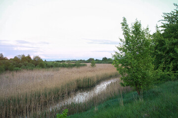 Small canal of water. diverts waste to nature polluting nature. Stock photo background