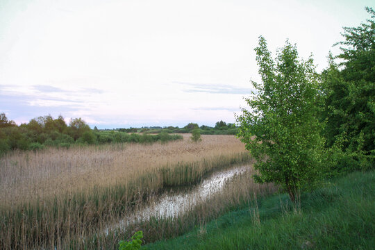 Small Canal Of Water. Diverts Waste To Nature Polluting Nature. Stock Photo Background