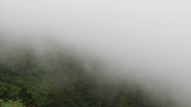 panoramic beauty of the peak of Mount Arjuno with thick fog