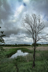 Fototapeta premium Small canal of water. diverts waste to nature polluting nature. Stock photo background