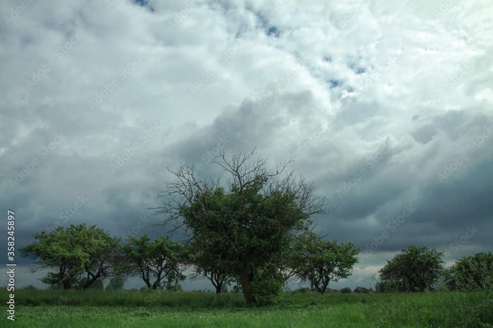 Wall mural thunderous epic clouds in a field near the old garden. stock photo background with heaven.