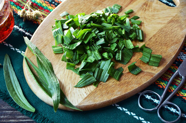 Herbal medicine.Cutting up fresh ribwort plantain leaves (Plantago lanceolata) , to prepare herbal syrup against cough.