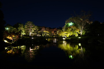 Fototapeta na wymiar 日本庭園風景1