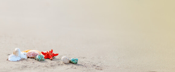 Composition with sea shells and starfish on sand. Concept of travel and vacation. Copy space