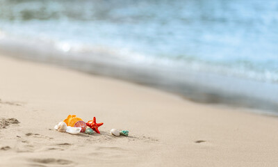 colorful sea shells on the seashore sand beach, blurred blue background, summertime and holiday concept, copy space.