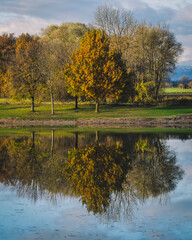 Ein Baum spiegelt sich im Wasser
