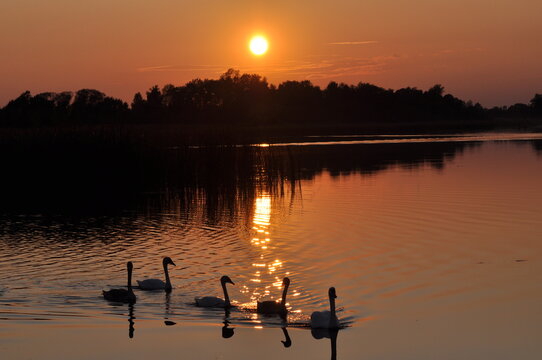 Abend am Kremmener See