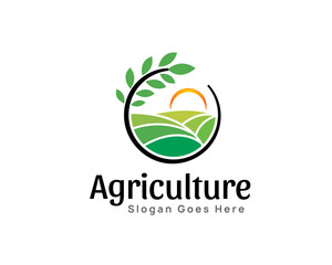Agriculture wheat rice green farm logo symbol design illustration