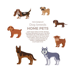 Fototapeta premium Dog breed silhouette