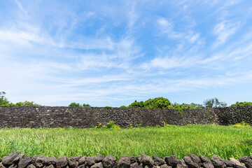 Fototapeta na wymiar Volcanic stone wall and green field of Seongeup Folk Village.