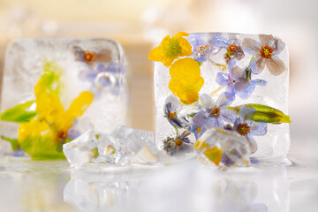 Transparent ice cubes with frozen flowers inside.