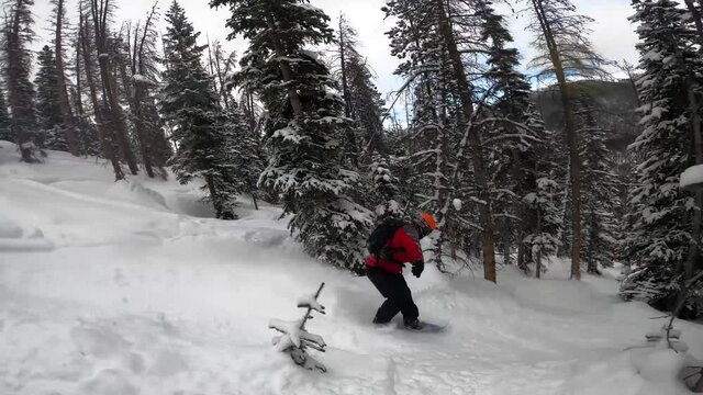 expert snowboarder in a red jacket blast though powdered filled trees in the back-country of the Colorado mountains