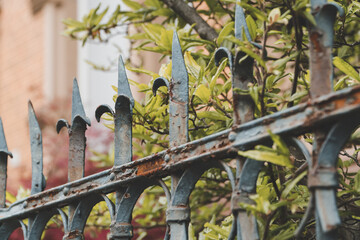 rusty fence with green plants in a rural environment