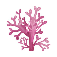Fototapeta premium Multicellular Marine Algae Growing on Sea Bottom Vector Illustration