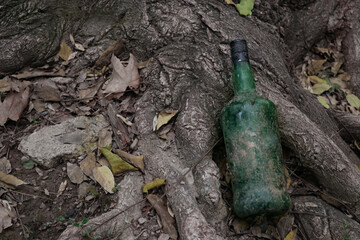 A view of green bottle near the old tree