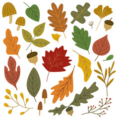 Fototapeta premium Set of autumn leaves design elements