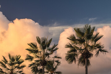 Salvador Beach