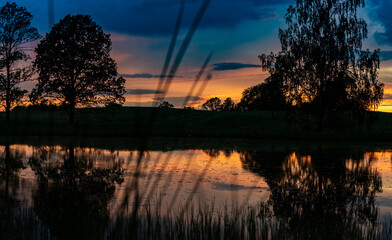 Dramatic sunset over swamp forest with red colored sky and dead trees