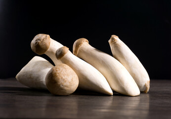 mushrooms on a black background