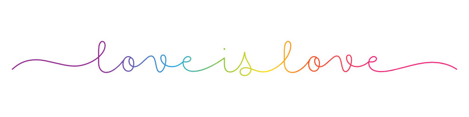 LOVE IS LOVE rainbow gradient vector monoline calligraphy banner with swashes
