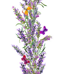 Fototapeta premium Lavender seamless frame and butterflies. Watercolor stripe