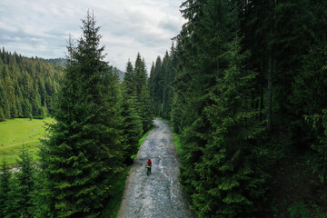 Drone photograph with a mountain biker through a pine forest cycling on a gravel road. Adventure cycling concept.