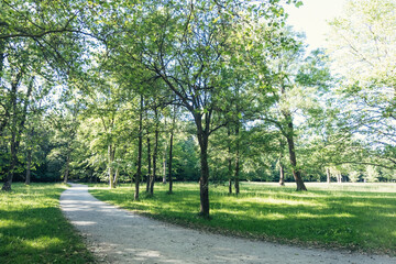 Sunny meadows with deciduous trees