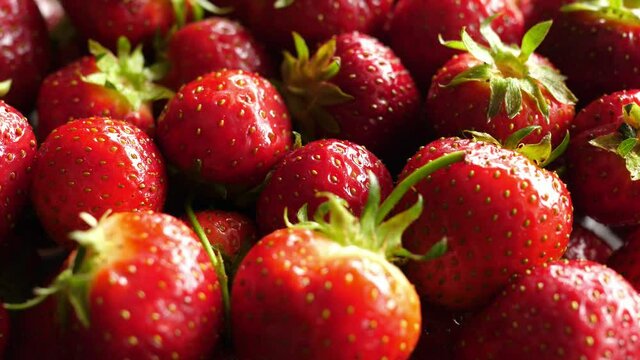 rotating turning roud red uncut  riped strawberries