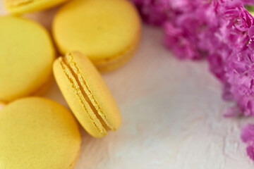 delicate yellow macarons dessert with pink flowers on pink background