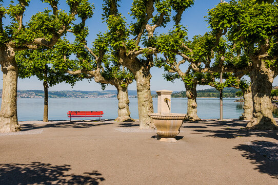 Rapperswil, Z&uuml;richsee, Seeufer, Curtiplatz, Hafen, Schiffssteg, Parkbank, Boote,  Seerundfahrt, Insel L&uuml;zelau, Insel, Ufnau, Rapperswil-Jona, Seedamm, Holzbr&uuml;cke,  Sommer, Schweiz