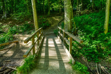 Brücke auf einem Waldweg im Neandertal