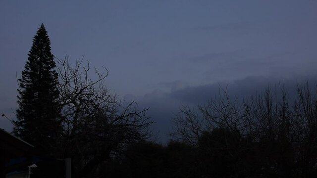 Time lapse: dark silhouette dormant and dead winter trees with grey low clouds slowly moving in sky at evening